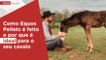 Haas-Pellets-como-equos-pellets-e-feito-e-por-que-e-ideal-para-seu-cavalo