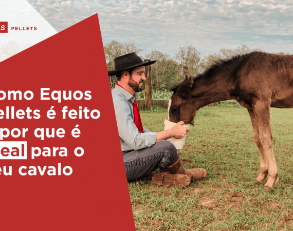 Haas-Pellets-como-equos-pellets-e-feito-e-por-que-e-ideal-para-seu-cavalo